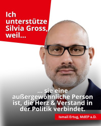 Ismail Ertug, MdEP a.D.