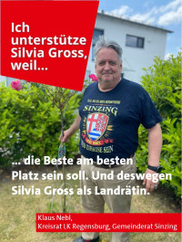 Klaus Nebl, Kreisrat